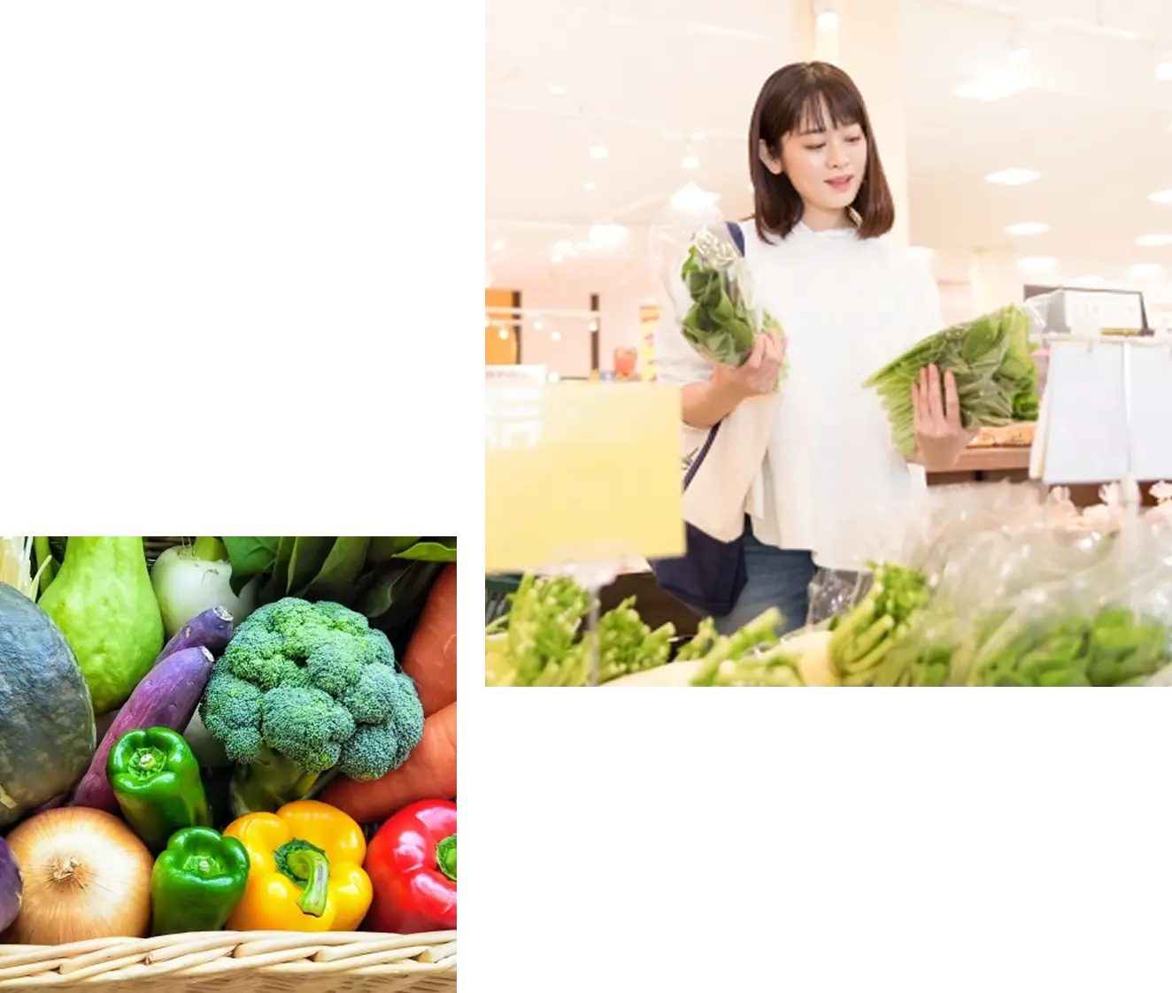 紅屋商事を知る